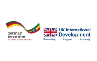 Logo giz – UK Development