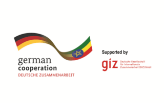 Logo giz Ethiopia