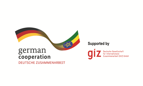 Logo giz Ethiopia